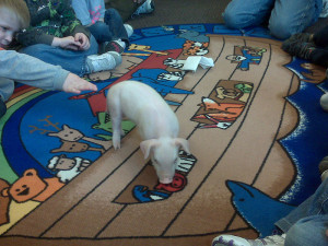 piglet-preschool